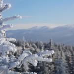 Natur pur im Riesengebirge