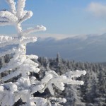 Natur pur im Riesengebirge