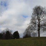 Lauf Im Britzer Garten Niels Michalk Laufen Leben Gutes Tun