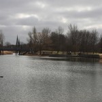 Lauf im Britzer Garten 2013